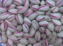 Roasted Greek Pistachios (Premium Quality)