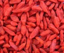 Wolf  Berry Extract powder