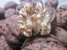Farmers Direct Sell Fresh Walnut