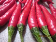 Yunan Famous  Red  Chilli with Good Price