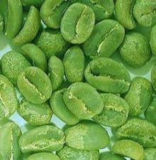  Green   coffee  bean  extract 