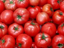 Brix 28-30%,30-32%,36-38% Tomato paste