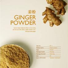 Ginger powder--BF11