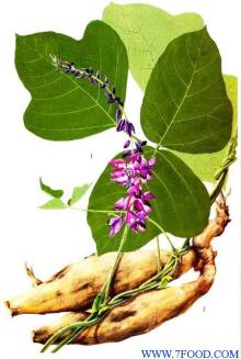 Puerarin CAS: 3681-99-0