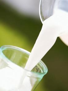 Non dairy creamer for Milk Replacer