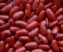 kidney beans