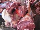 ostrich meat