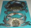 SOFT CRAB SHELL