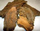 Herba Cynomorii extract