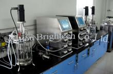 pilot  scale  fermentors