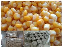 Canned sweet corn