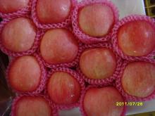 Fresh Apple