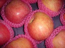 Red Fuji Apple
