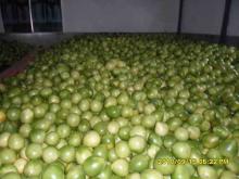 fresh pomelo