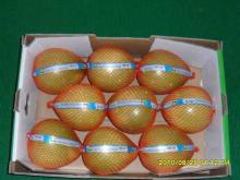 fresh grapefruit