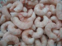  Red   shrimp   PUD 