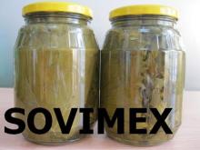  Canned  grape leaf