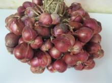 RED ONION