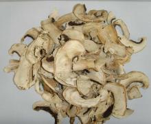 dried mushroom slice