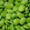 LIMA BEANS