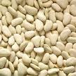  BUTTER  BEAN