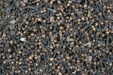 spice  cloves 