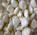 white maize for sell