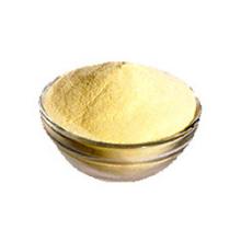 Premium Soy Lecithin Powder Food Grade