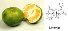98%Limonin&Tangerine seed extract