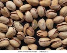 Pistachio