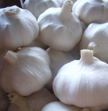 qingshan fresh normal white garlic