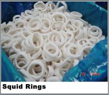 Squid Ring