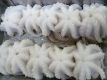 Frozen Baby Octopus Whole Clean