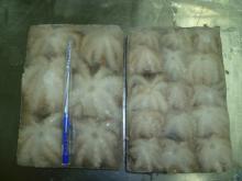 Frozen Whole Clean Baby Octopus