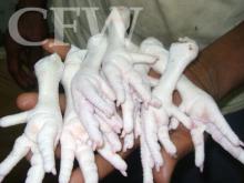 processed chicken feet
