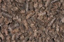 Sugar beet pulp