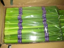 Fresh Garlic Sprout(Garlic Stem,Garlic Bolt)