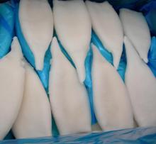 IQF Squid tube annachen.sh