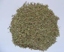  Fennel   Extract 