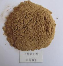 Neutral protease