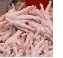 Frozen Chicken feet and Paws available..