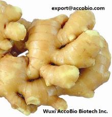 Ginger Extract( Zingiber   Officinale  Extract)