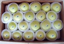 2011 Fresh  Golden  Apple