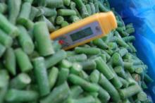 high quality frozen green beans