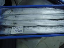 500/700 frozen wr RIBBON FISH(hairtail fish)