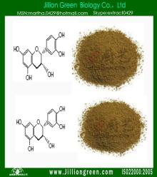 tea extract