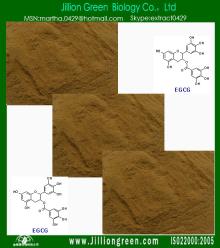  Plant   extract :Tea  Polyphenol 