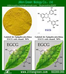 ice  tea   extract  , Oolong   tea   extract 