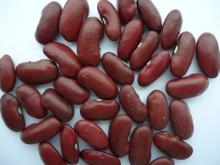 Dark red kidney bean