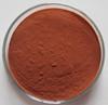 Grape   Seed  Extract